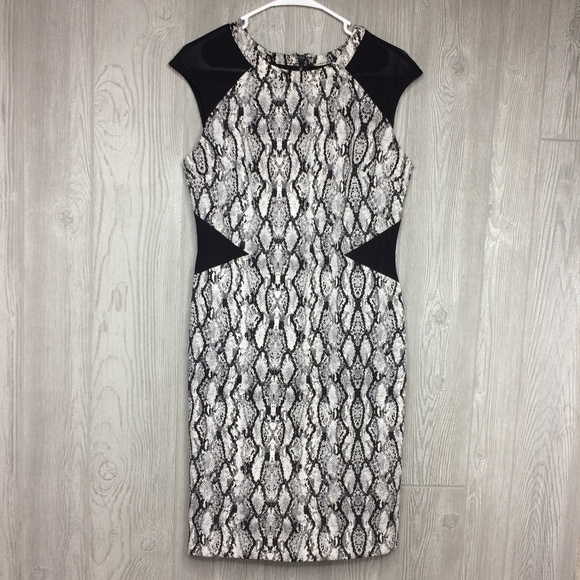 Worthington Dresses & Skirts - Worthington Animal Snake Print Dress Size 8